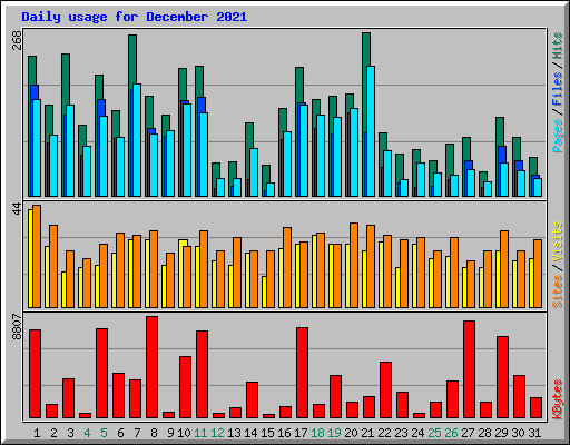 Daily usage for December 2021