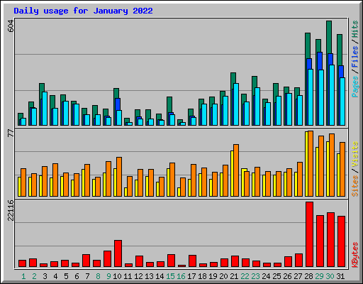 Daily usage for January 2022