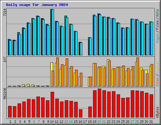 Daily usage for January 2024