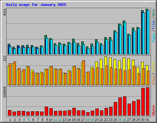 Daily usage for January 2025