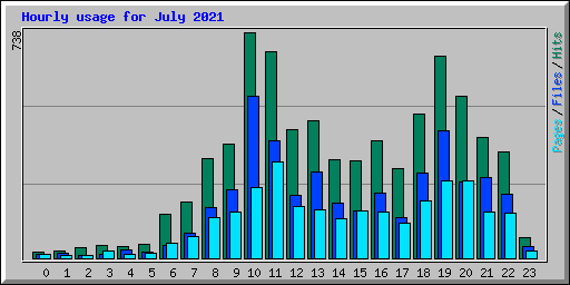 Hourly usage for July 2021