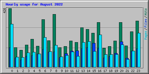 Hourly usage for August 2022