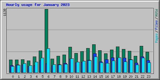 Hourly usage for January 2023