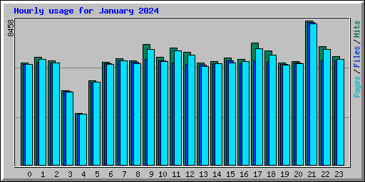 Hourly usage for January 2024