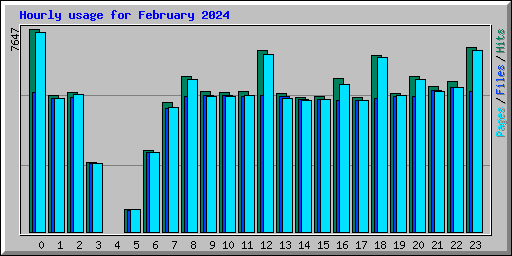 Hourly usage for February 2024