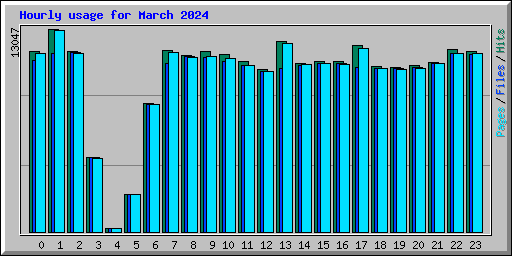 Hourly usage for March 2024