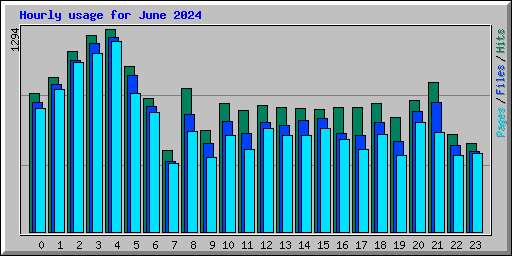 Hourly usage for June 2024
