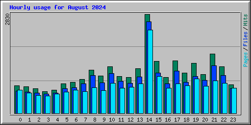 Hourly usage for August 2024