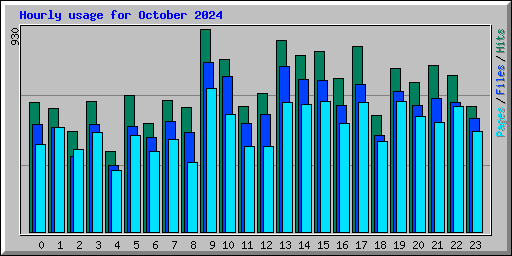 Hourly usage for October 2024