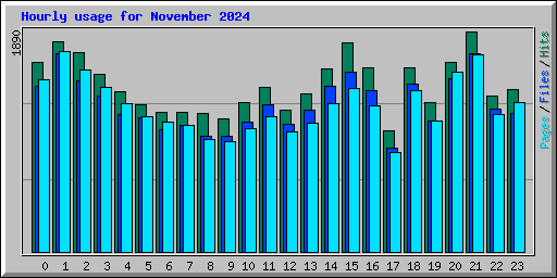Hourly usage for November 2024