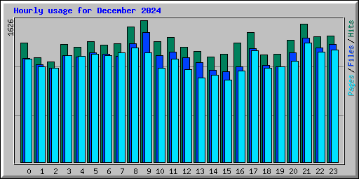 Hourly usage for December 2024