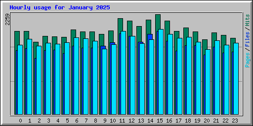 Hourly usage for January 2025