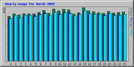 Hourly usage for March 2025