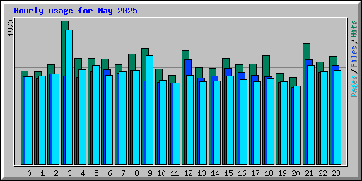 Hourly usage for May 2025