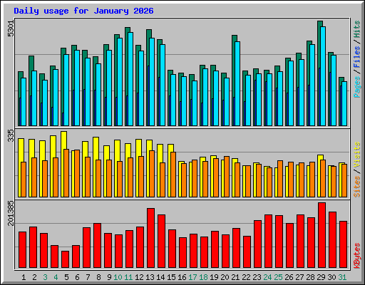 Daily usage for January 2026