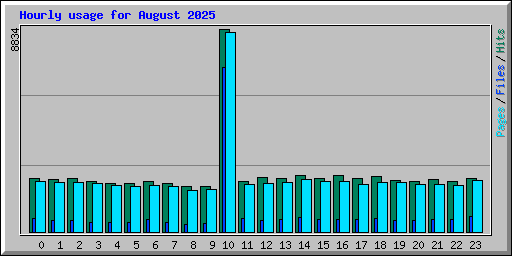 Hourly usage for August 2025