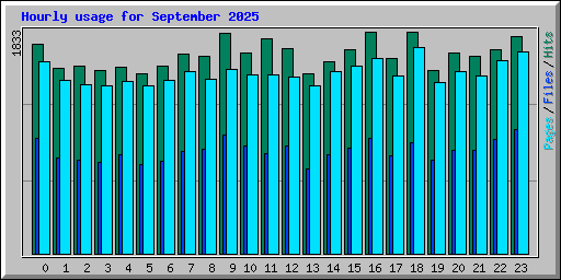 Hourly usage for September 2025
