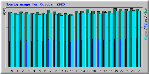 Hourly usage for October 2025