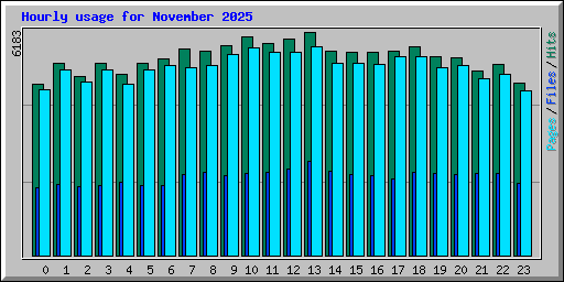 Hourly usage for November 2025