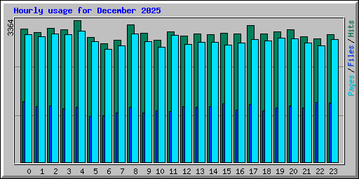 Hourly usage for December 2025