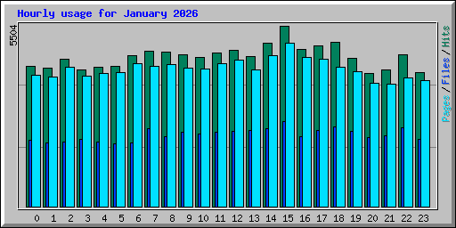 Hourly usage for January 2026